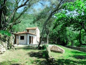 Hotels in Pantasina